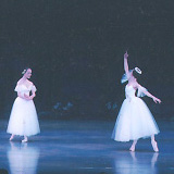 2004N
