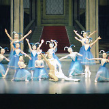 2006N