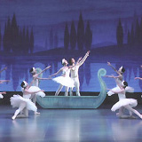 2006N